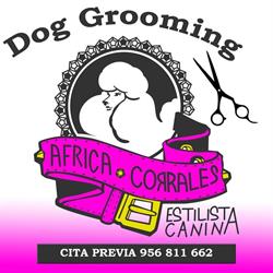 Horario de apertura Estilista Canina África Corrales, Rota