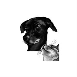 Horario de apertura Zintzo, Bilbao