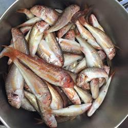 Bar los Pescadores en Barcelona (Ciutat Vella) - Horario de apertura