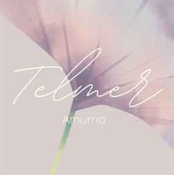 Horario de apertura Telmer, Amurrio