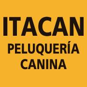 Horario de apertura Peluquería Canina Itacan, Catarroja