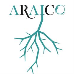 Horario de apertura Bodegas Araico S.c., Villabuena de Álava