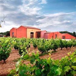 Horario de apertura Bodegas y Viñedos Ortega Fournier, Berlangas de Roa