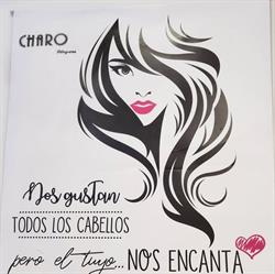 Horario de apertura Charo Peluqueros, Ourense