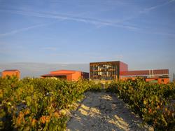 Horario de apertura Bodega Díaz Bayo - Ribera del Duero, Fuentelcésped