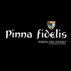 Horario de apertura Bodegas Pinna Fidelis, Peñafiel