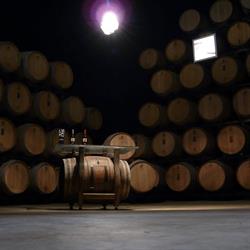 Horario de apertura Bodegas Edra, Ayerbe