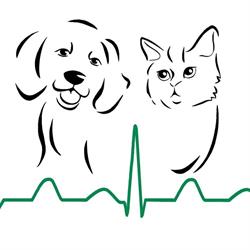 Clínica Veterinaria San Francisco de Asís en Cáceres (Norte) - Horario de apertura
