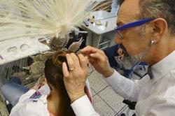 Horario de apertura Antonio Peluqueria, Petrer