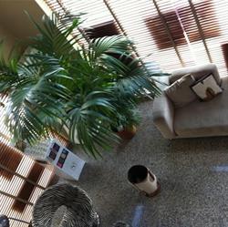 Horario de apertura Salon Chic, Las Palmas de Gran Canaria