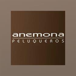 Horario de apertura Anemona Valencia,