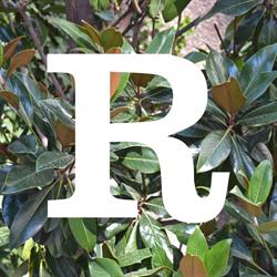 Horario de apertura Peluqueria Reche, Barcelona