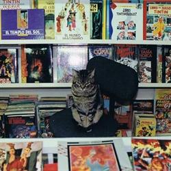 Gotham Comics en Valencia (Eixample) - Horario de apertura