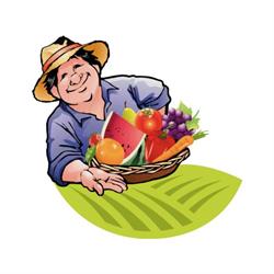 Horario de apertura Frutas Andres S.A., Sant Andreu de la Barca