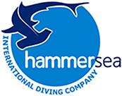 Hammersea en Zaragoza (Centro) - Horario de apertura