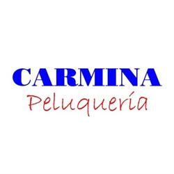 Horario de apertura CARMINA PELUQUERIA, Alcorcón
