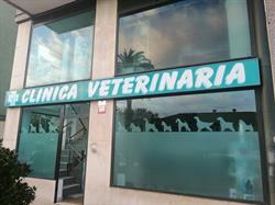 Horario de apertura Clinica Veterianaria Valle de Camargo, Muriedas