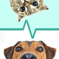 Horario de apertura Clinica Veterinaria La Nucia, 