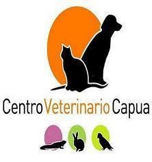 Horario de apertura Centro Veterinario Capua Sl, Gijón