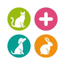 Horario de apertura Clínica Veterinaria Nueva Segovia,