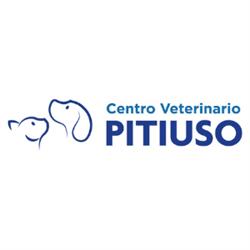 Horario de apertura Centro Veterinario Pitiuso, Santa Eulària des Riu