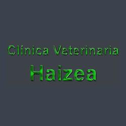 Horario de apertura Clínica Veterinaria Haizea, Estella
