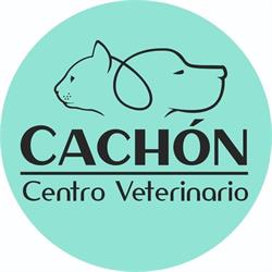 Horario de apertura Clínica Veterinario Cachón, León
