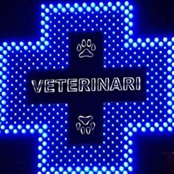 Horario de apertura Can Palet Veterinaris, Terrassa