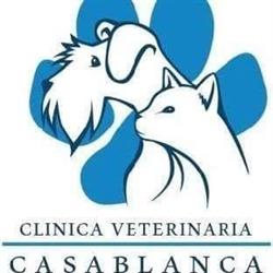 Horario de apertura Clinica Casablanca, Zaragoza