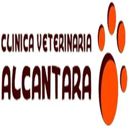 Horario de apertura Clínica veterinaria Alcántara, Calatayud