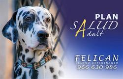Horario de apertura Centro Veterinario Felican, Elche