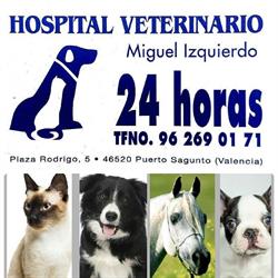 Horario de apertura Hospital Veterinario Miguel Izquierdo, Sagunto