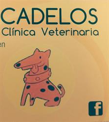 Horario de apertura Cadelos CLÍNICA VETERINARIA SLU, Ourense