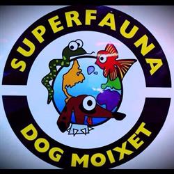 Clinica Veterinaria Dog Moixet 24h Lunes a Sábados Concertado en Barcelona (Sant Andreu) - Horario de apertura