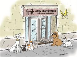 Horario de apertura Cnr Veterinaris S.c.p., Sant Boi de Llobregat