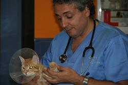 Horario de apertura Clinica Veterinaria Pavia, Almería