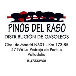 Horario de apertura Pinos Del Raso, La Pedraja de Portillo
