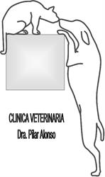 Horario de apertura Clínica Veterinaria Doctora Pilar Alonso, León