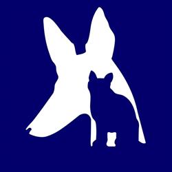 Horario de apertura Centro Veterinario Chiva, 