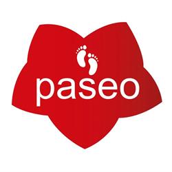 Horario de apertura Tienda de Zapatos Calzados Paseo, Tacoronte