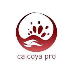 Horario de apertura Adela Caicoya S.l., Las Palmas de Gran Canaria