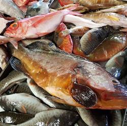 Horario de apertura Restaurante La Pimienta, La Matanza de Acentejo