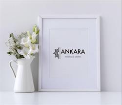 Horario de apertura Ankara, Candelaria