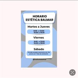 Horario de apertura Instituto Balmar, Burriana