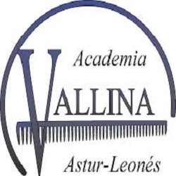 Horario de apertura Academia de Peluquería y Estética Vallina, Langreo