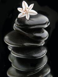 Horario de apertura Lola Barajas Naturopata Esteticista, Rivas-Vaciamadrid