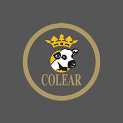 Horario de apertura Colear Castilla León S. Coop., Aranda de Duero