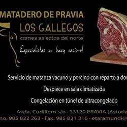 Horario de apertura Matadero de Pravia, 