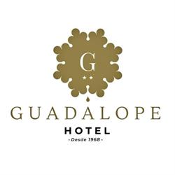 Horario de apertura Hotel Guadalope, Alcañiz