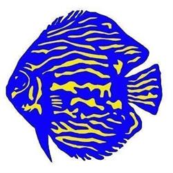 Horario de apertura Acuarios Aquarium Discus, Valladolid